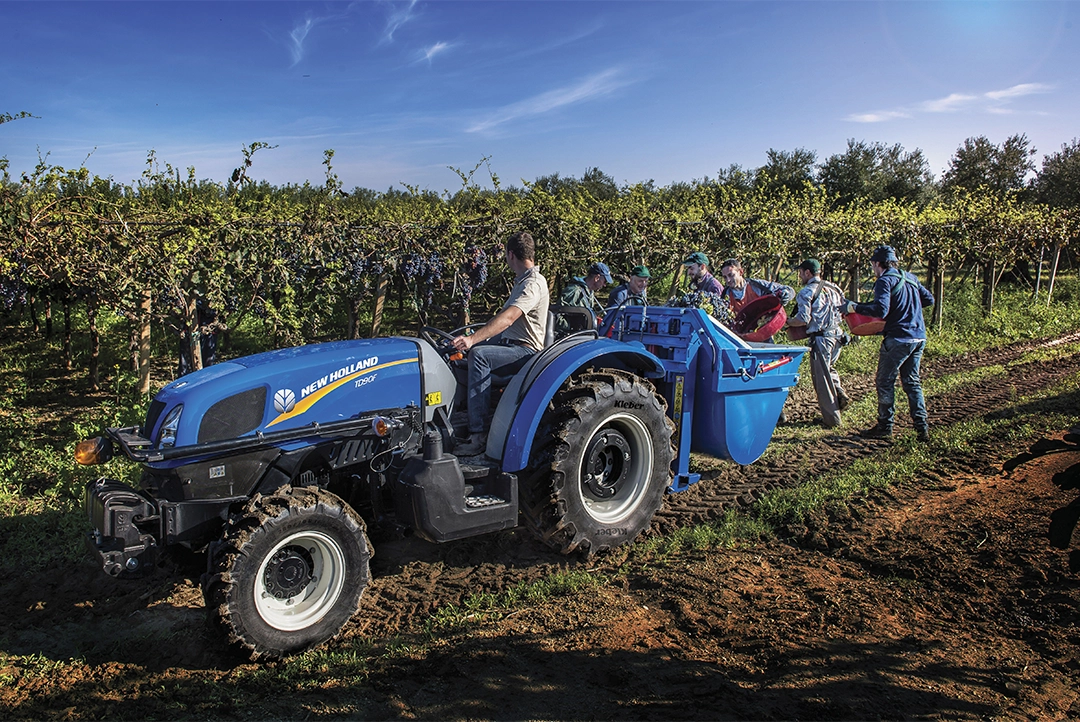 Tractor frutero New Holland TD90F trabajando en labores de vendimia en un viñedo.