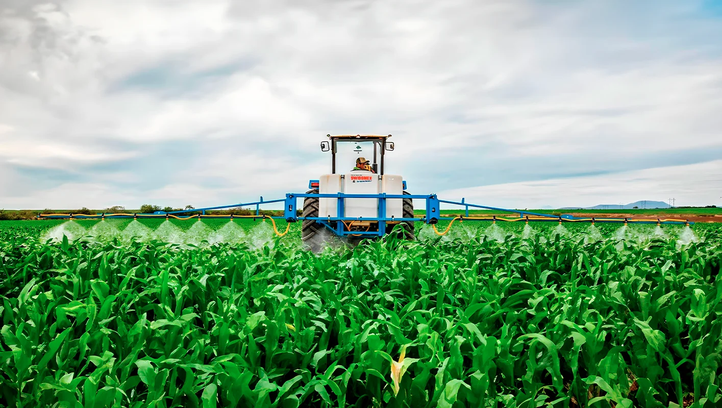 ¿Qué es el ciclo agrícola primavera-verano?