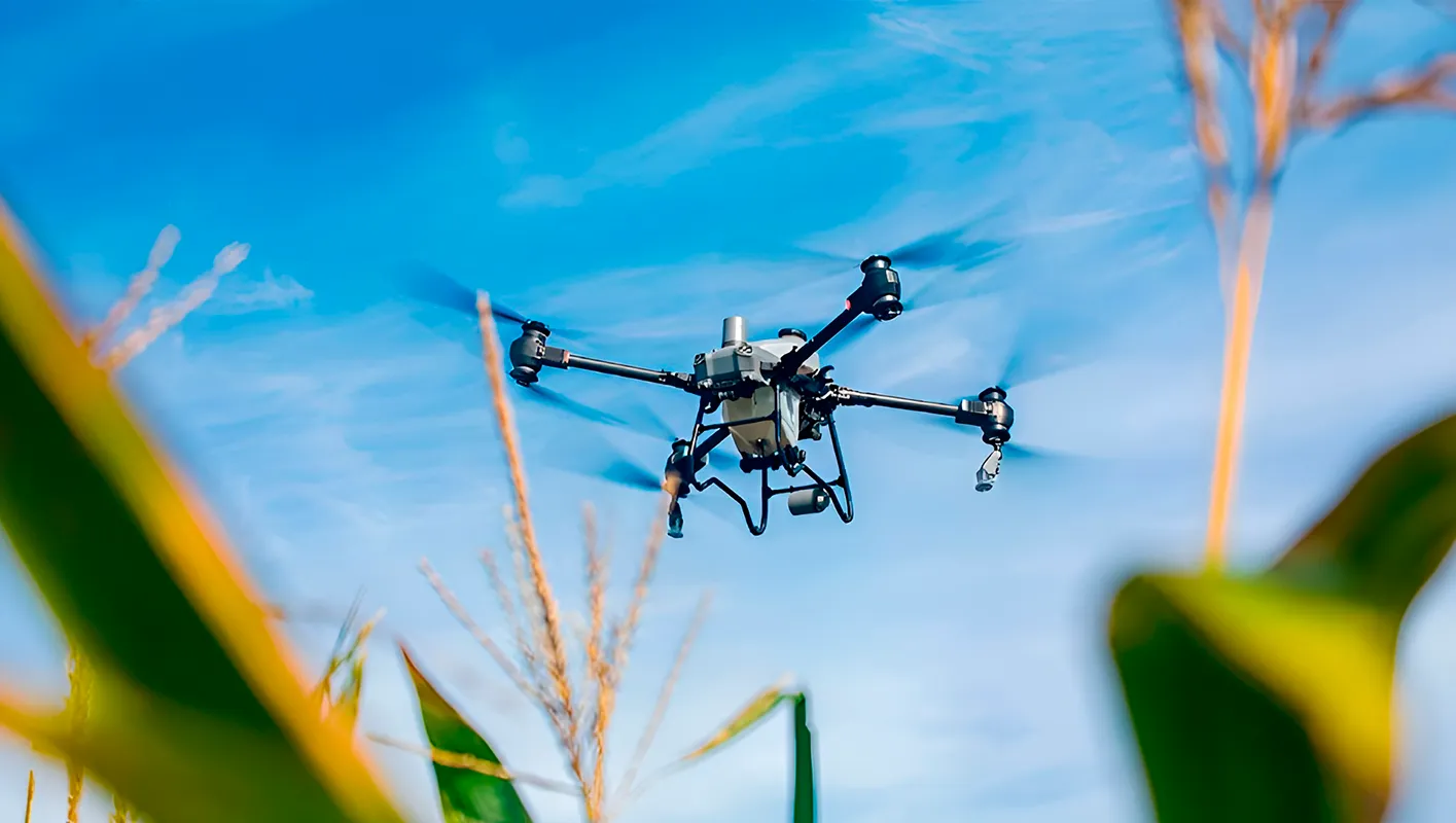 Dron DJI Agras T5O volando sobre un campo de maíz.